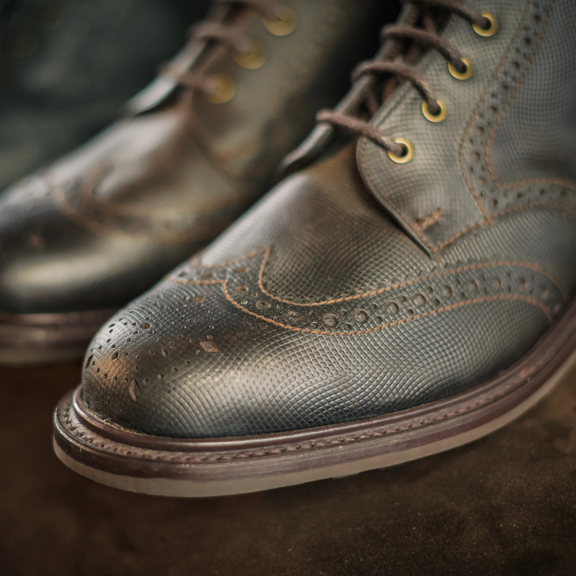 GRINDLETON // BROWN ODYSSEY - Image 4